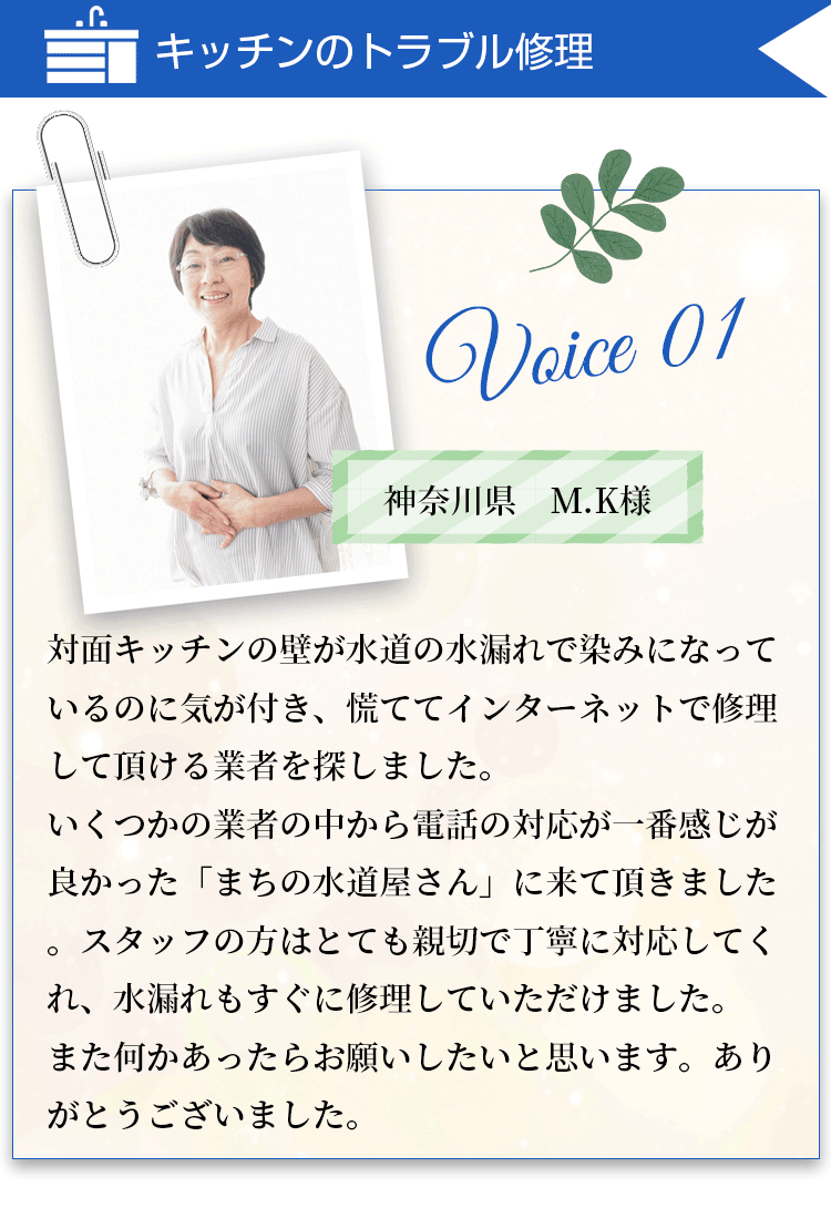 voice１