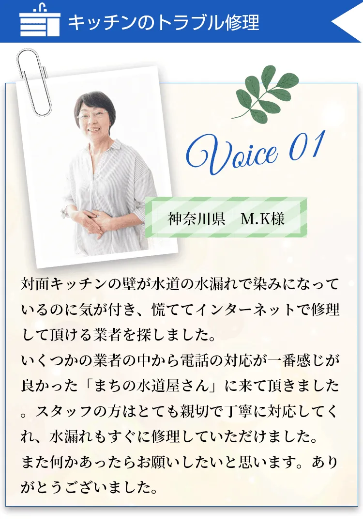 voice１