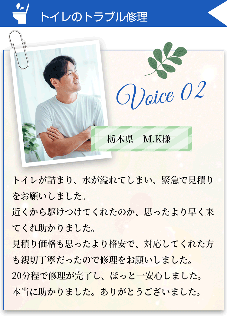 voice2